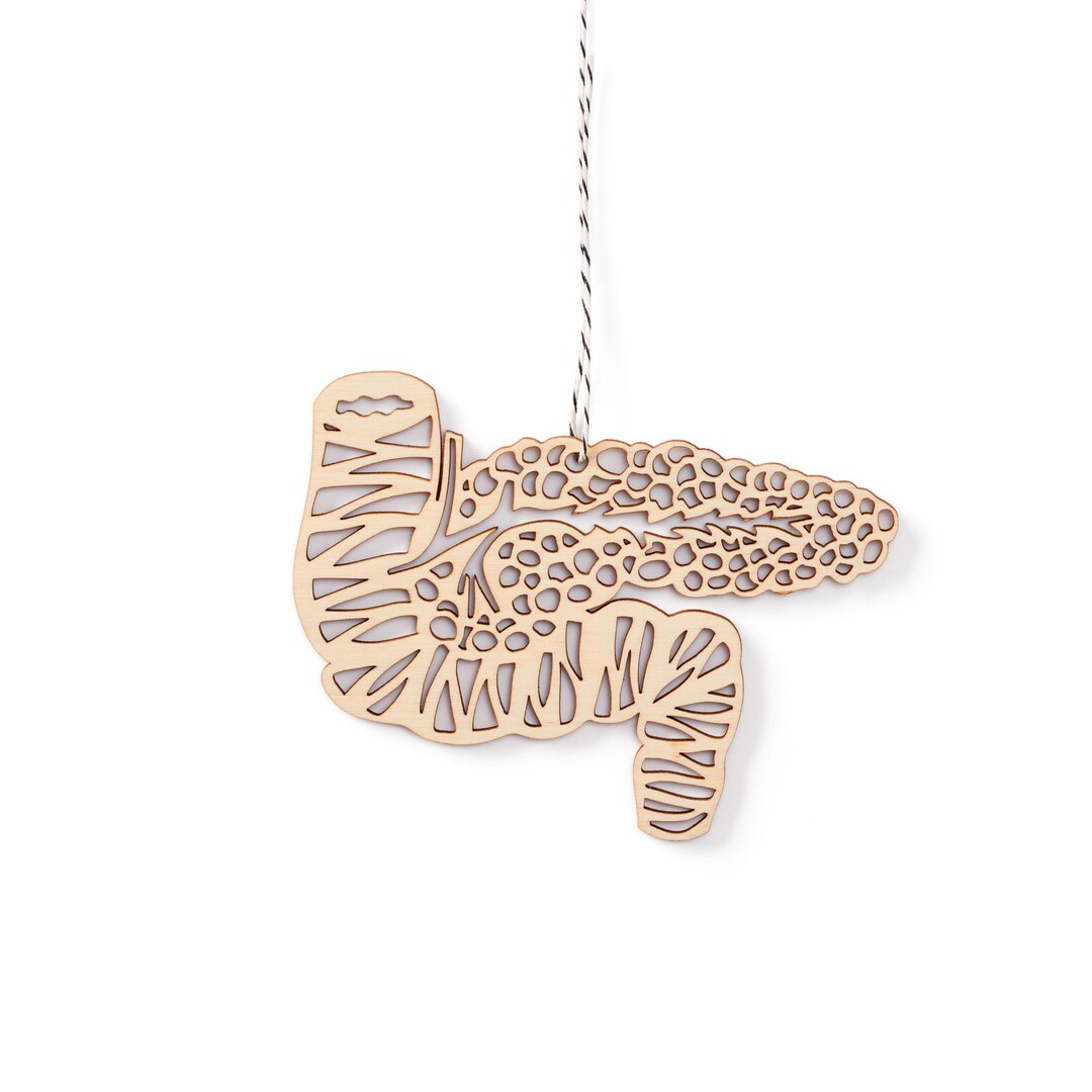 Pancreas Anatomy Ornament, Gastroenterologist, Doctor, Nurse, Surgeon ...