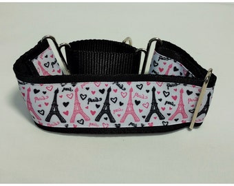 Whippet or greyhound two inch wide martingale collar. 2MC7841 Take Me To Paris