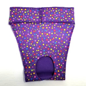 EP6148 Whippet or medium dog panties with colorful polka dots on purple