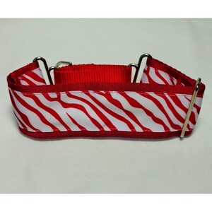 Whippet oder Windhund zwei Zoll breiten Martingale Kragen. | Etsy