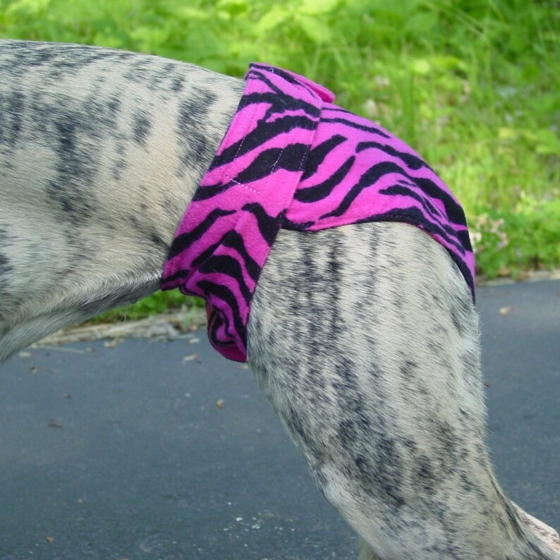 EP6121 Whippet or Medium Dog Panties With Black Dog Bones Etsy