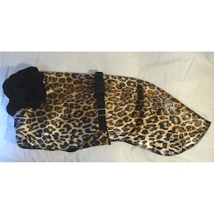 C3019 Whippet Coat in Medium or Large - Leopard Gold Foil Microfiber