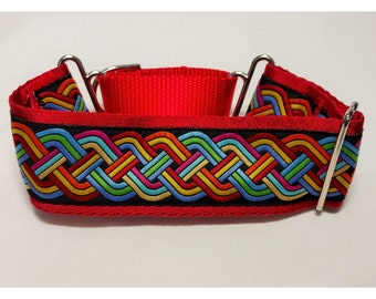 Whippet or greyhound two inch wide martingale collar. 2MC7844 Woven Multi Color Chains