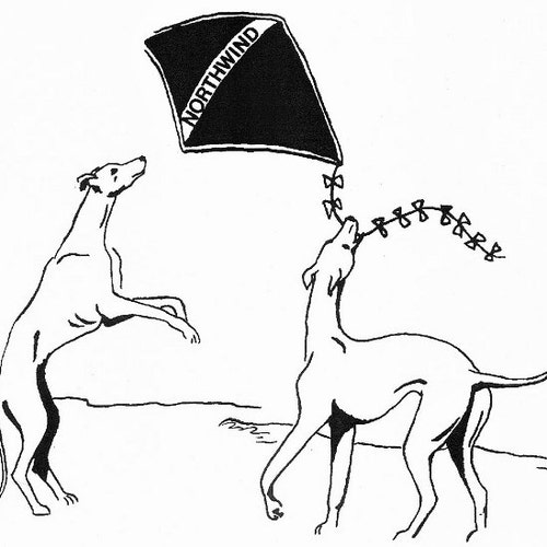 Whippet or Greyhound Two Inch Wide Martingale 2MC835 Red