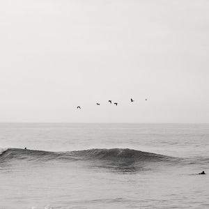 California Black and White Surf Wall Art - Stampa spiaggia, arte murale spiaggia, cali cool wallart stampa spiaggia california, fotografia costiera calma