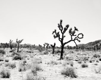 Joshua Tree Black and white boho print- bohemian desert print, Joshua tree in black and white, California desert print, cali cool wall art