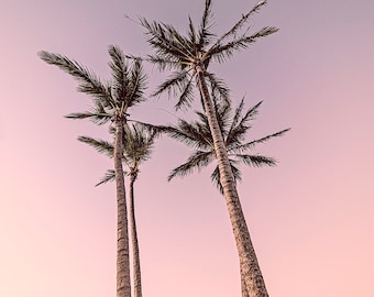 Pink Sunset Palm Tree Print: Girls Room Wall Art