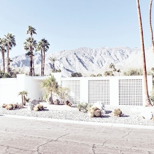 Palm Springs photography, Palm Springs Print, Palm Springs home, California photography, Desert photography, palm trees, mid century home image 1