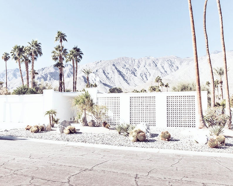 Palm Springs photography, Palm Springs Print, Palm Springs home, California photography, Desert photography, palm trees, mid century home image 1