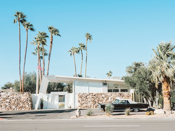 Slim Aarons inspired, Palm springs poster, Vintage car, Vintage wall art, mid century modern, retro photo, palm tree wall art, monkey Tree