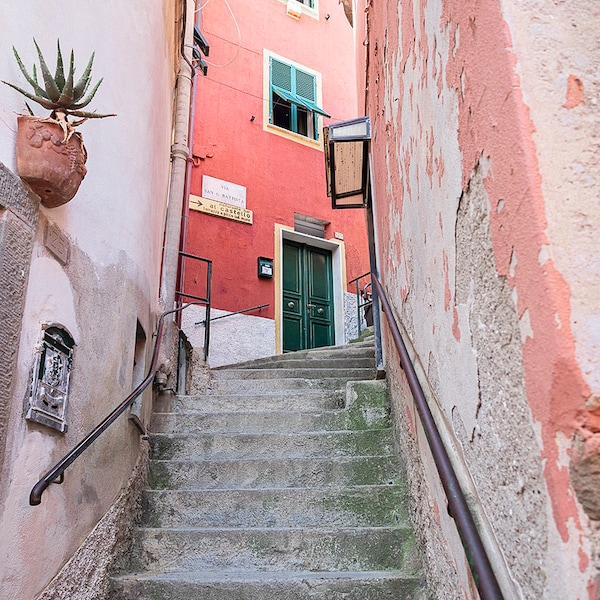 Italian Pink Alleyway Print - Pink staircase print, Italy photo, vertical print, pink and green, European stairwell,Italian laneway wall art