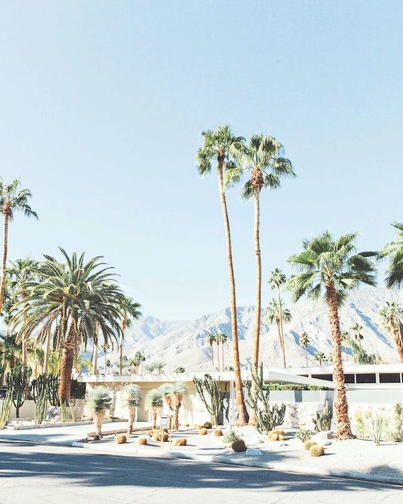 Palm Springs photography Palm trees Palm Springs Etsy