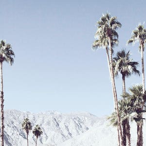 Palm Springs photography, Palm Springs Print, California photography, Desert photography, palm trees, Pastel photography, landscape photo