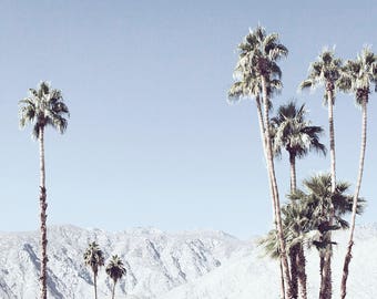 Palm Springs photography, Palm Springs Print, California photography, Desert photography, palm trees, Pastel photography, landscape photo