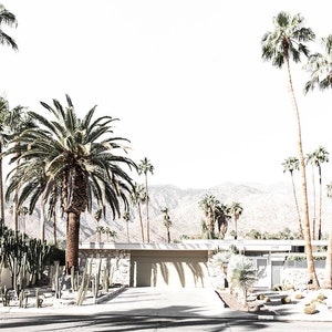 Palm Springs photography, Palm trees, Palm Springs Photography, Desert Landscape, California Architecture,Retro, Vintage decor, mid century