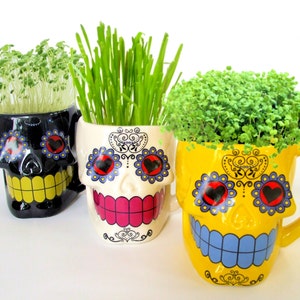 DIY Microgreens Indoor Garden Kit in Sugar Skull Mug Planters - Organic Seeds and Soil - Day of the Dead Ceramics Yellow Black or White