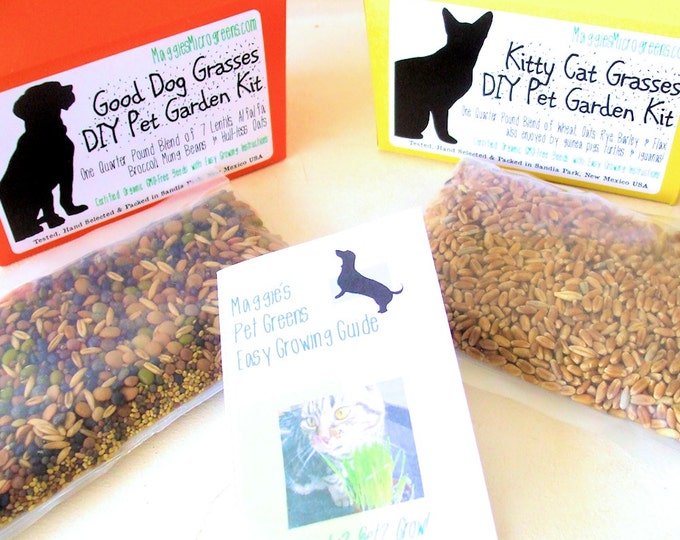 DIY Pet Greens Garden Kit Organic Seed Blends for Cats - Etsy