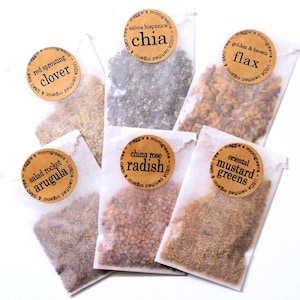 REFILL Seed Packets Set of 6 - DIY Microgreens Indoor Garden Kit - Certified Organic GMO Free Microgreens Seeds Vegan