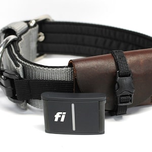 Fi gps sale tracker
