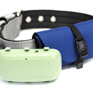 May include: A light green pet tracker with the word "tractive" printed on it. The tracker is attached to a gray and black dog collar with a blue pouch.