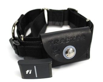 May include: A black leather dog collar with a silver buckle and a black leather pouch that says "TRACKER" on it. A black and silver device with the letters "fi" on it is attached to the collar.