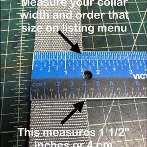 May include: A close-up of a gray fabric strap being measured with a ruler. The ruler shows the strap is 1 1/2 inches or 4 centimeters wide. The text "Measure your collar width and order that size on listing menu" is visible above the strap.