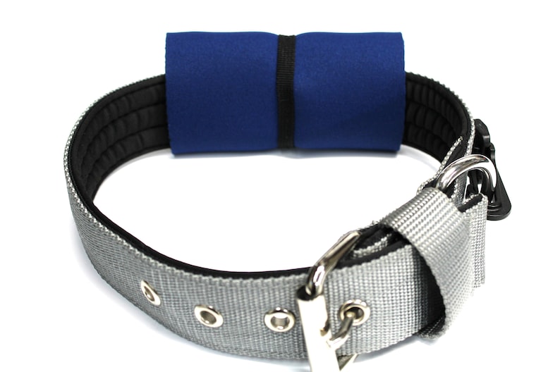 Triactive XL Collar Pouch