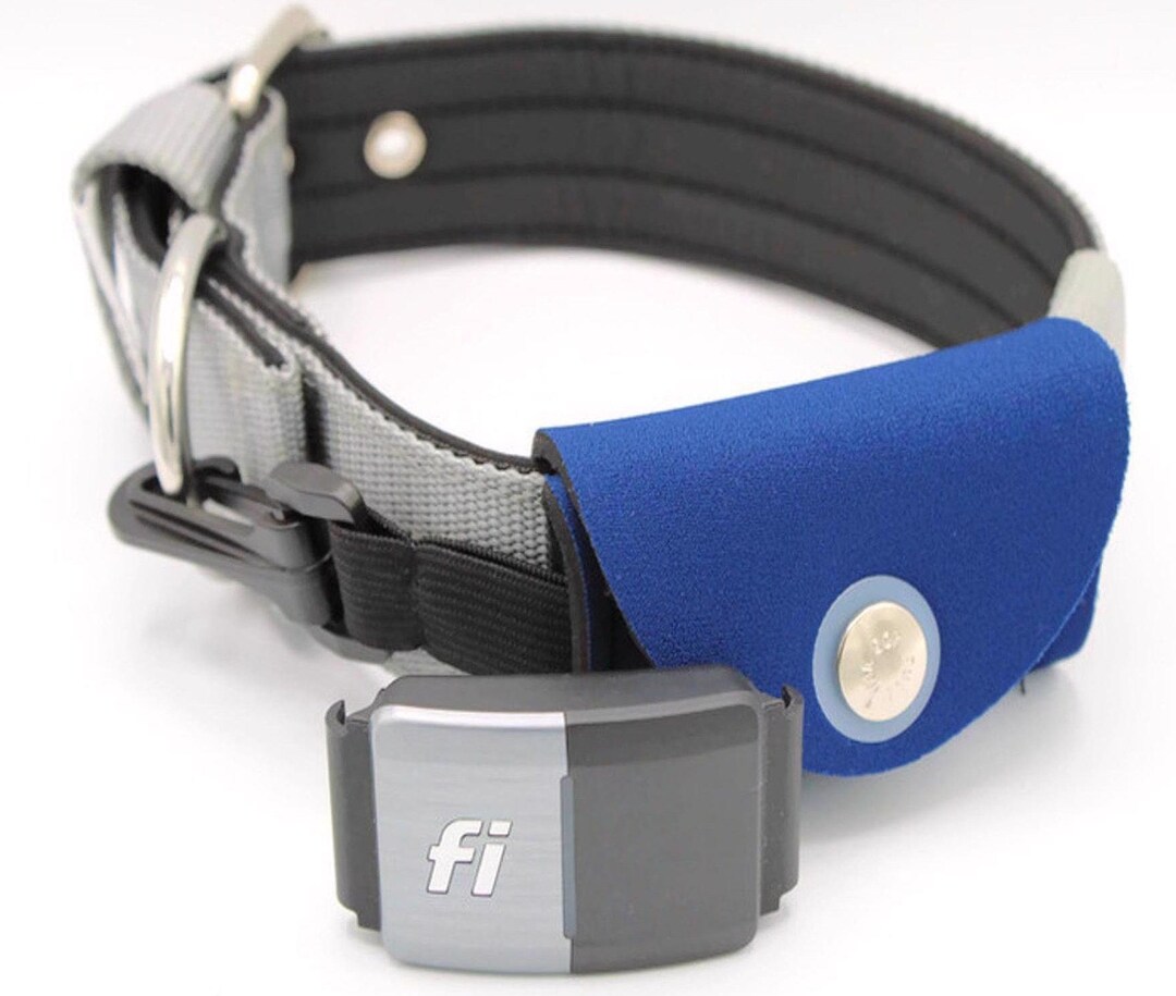 Fi Tracker Pouch for Dog Collars / Custom Collar Pouch Etsy