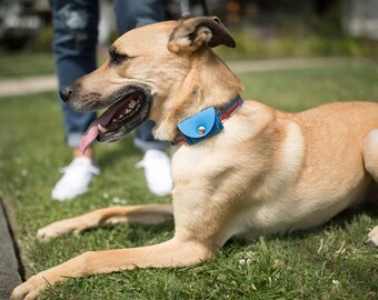 dog tag holders removable