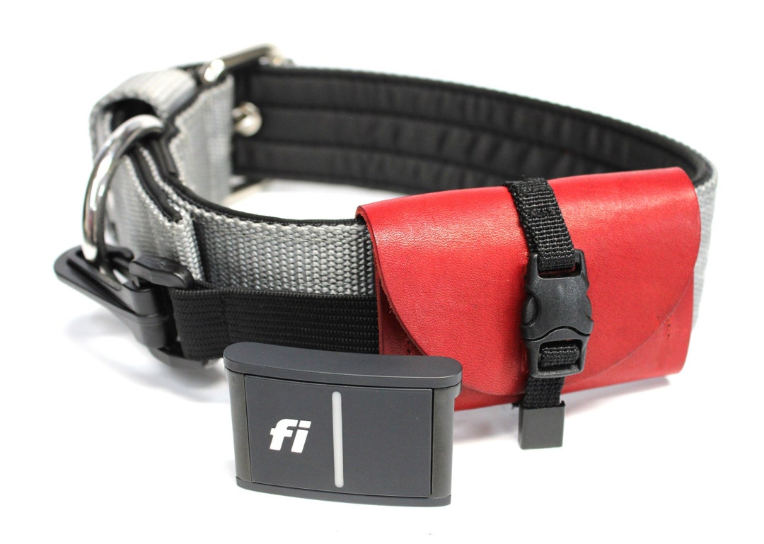 Fi 3 Series Tracker Pouch / Red Leather Dog Collar Pouch / Dog Etsy