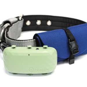 Triactive XL collar Pouch