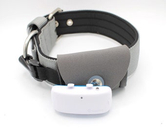 marshall tracking collar