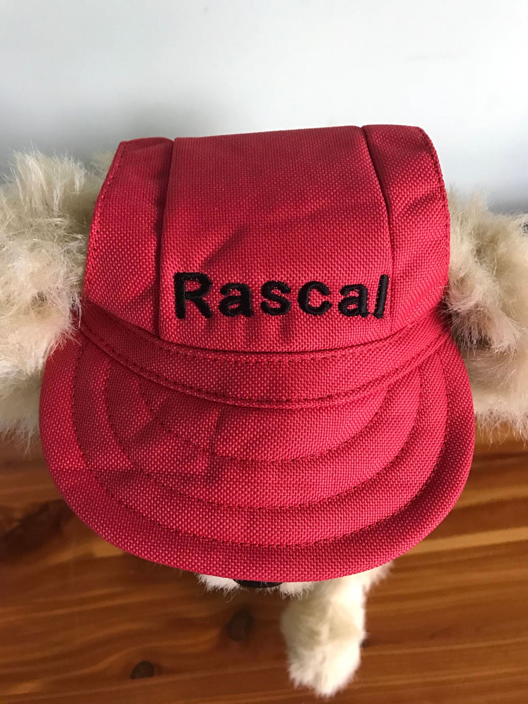 Dog Hat, Personalized Baseball Cap, Personalized Dog Hat, Dog Cap, Pet