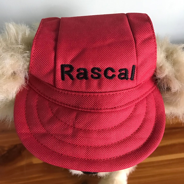 Dog Hat, Personalized Baseball Cap, Personalized Dog Hat, Dog Cap, Pet Hat, Custom Dog Hat, Dog Gift, Pet Gift, Dog Accessories, Dog, Pet