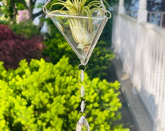 Stained Glass Air Plant and Holder Sun-catcher