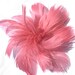 see more listings in the Color Fascinators section