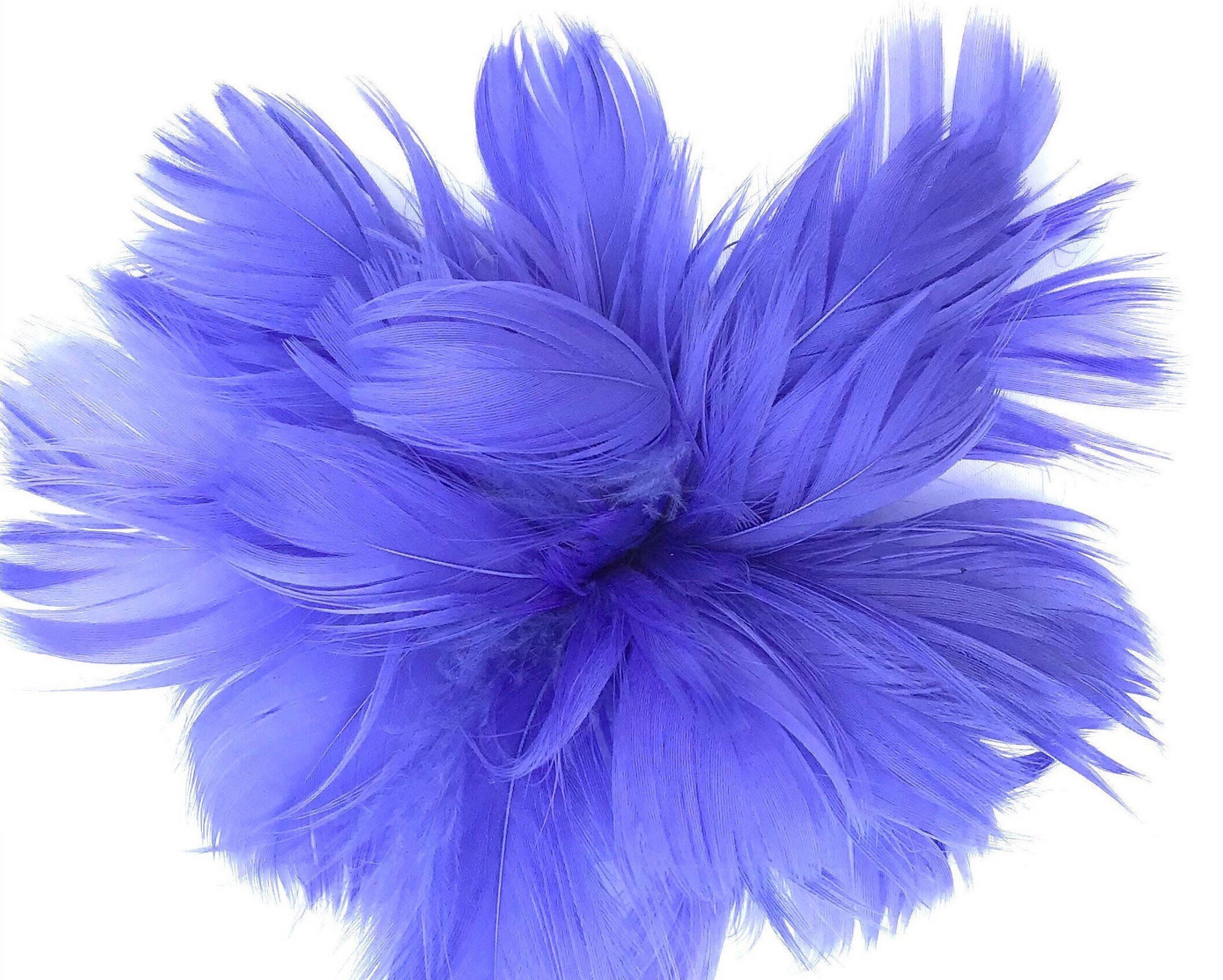 Periwinkle Blue Feather Fascinator Hair 