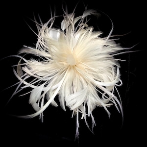 Ivory & White handmade in the USA Bridal Wedding Fascinator Feather Hair Clip, pin. Ostrich. blush pink image 1