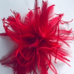 Ostrich Feather shoe clips accessory. Shoes not included. Black, Red, Olive, Forest Green, Brown, Rose Pink immagine 6