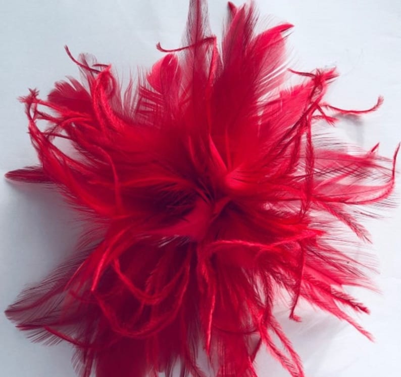 Ostrich Feather shoe clips accessory. Shoes not included. Black, Red, Olive, Forest Green, Brown, Rose Pink immagine 6