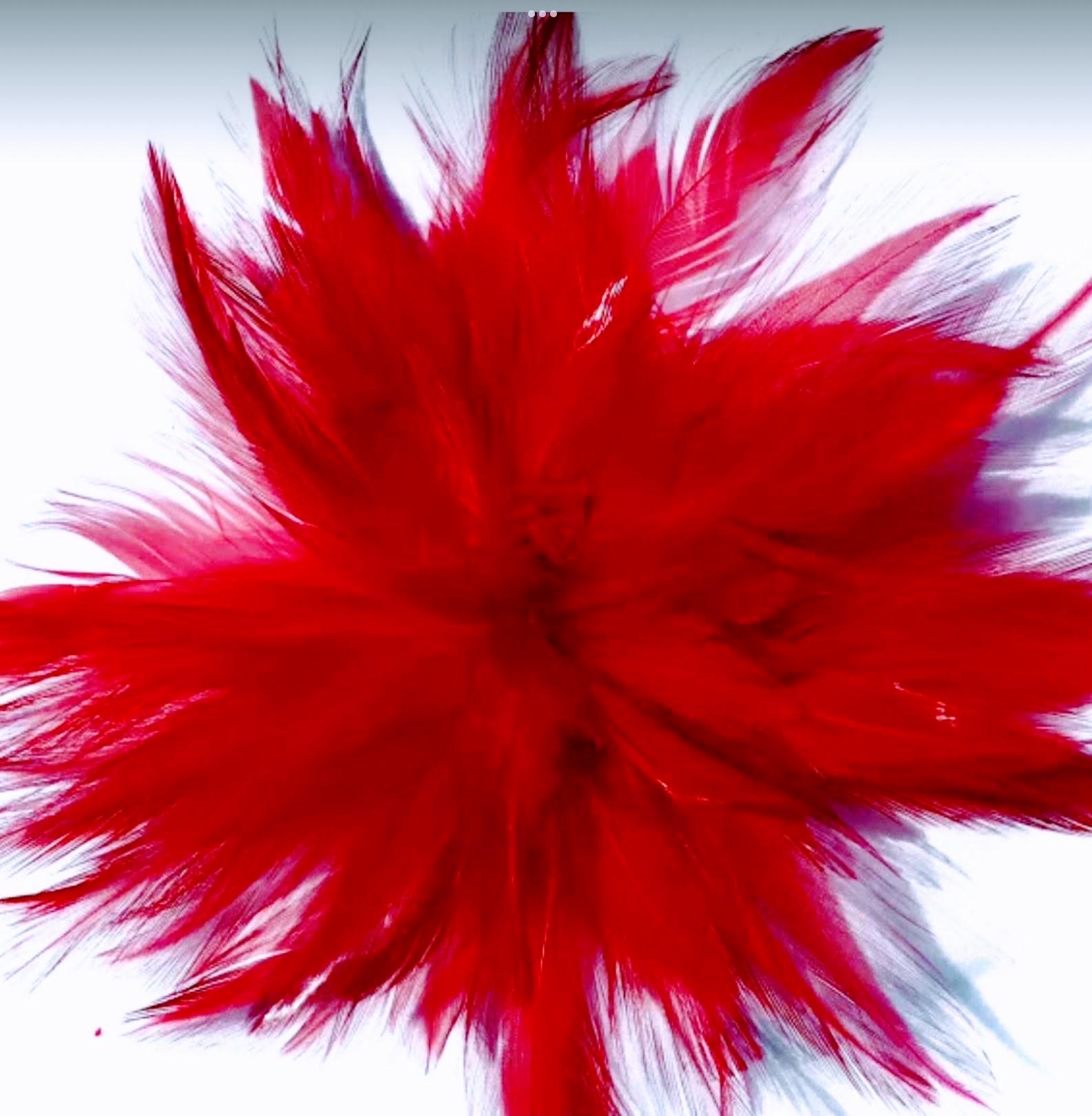 Red Feather Ostrich Fascinator Hair Clip Accessory  display picture 1