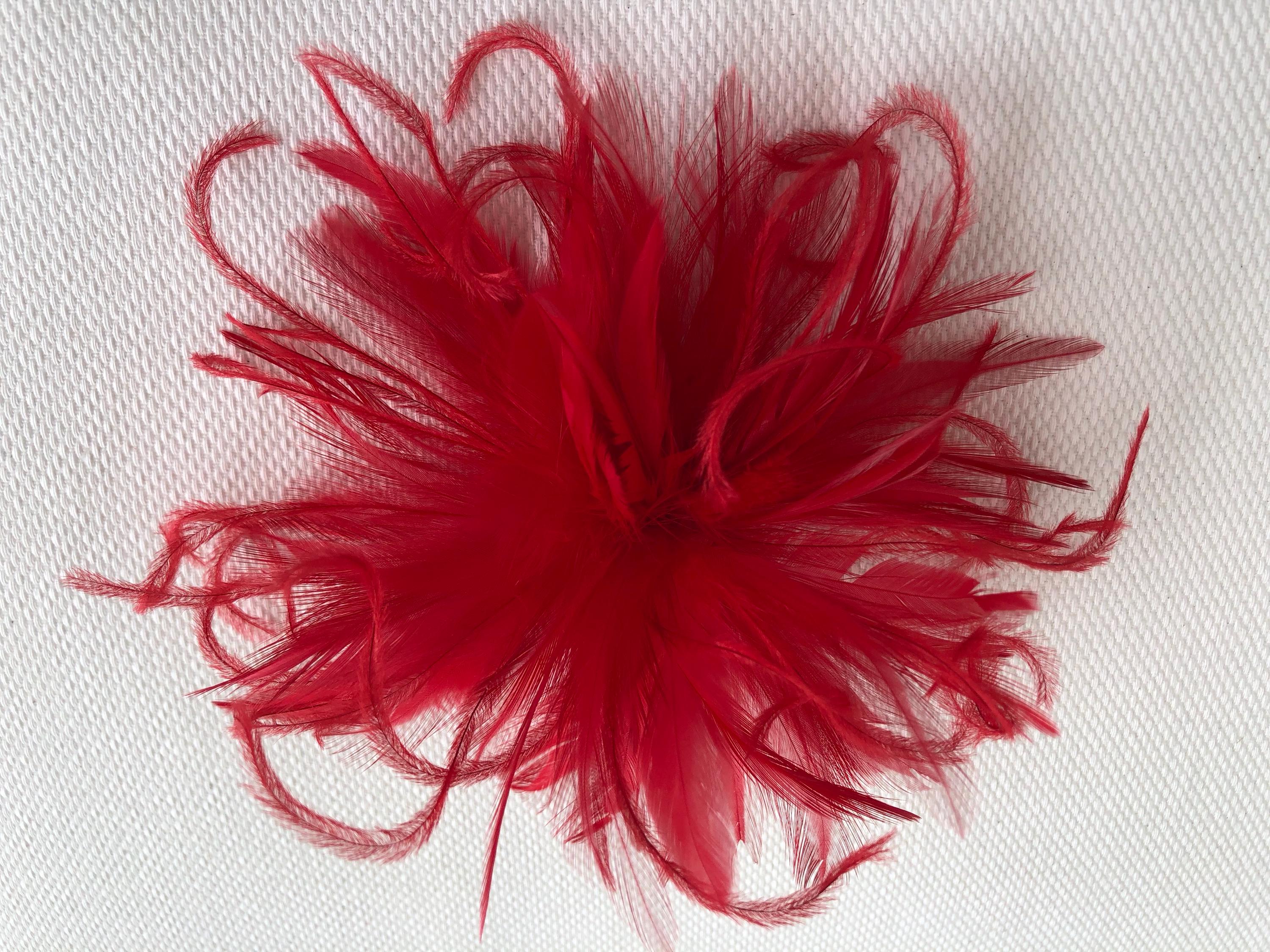 Red Feather Ostrich Fascinator Hair Clip Accessory  display picture 1