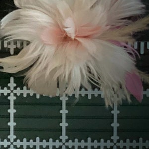 Large Pale Blush Pink rose tan Feather Fascinator Hair Clip Accessory &/OR lapel pin boutonniere zdjęcie 8