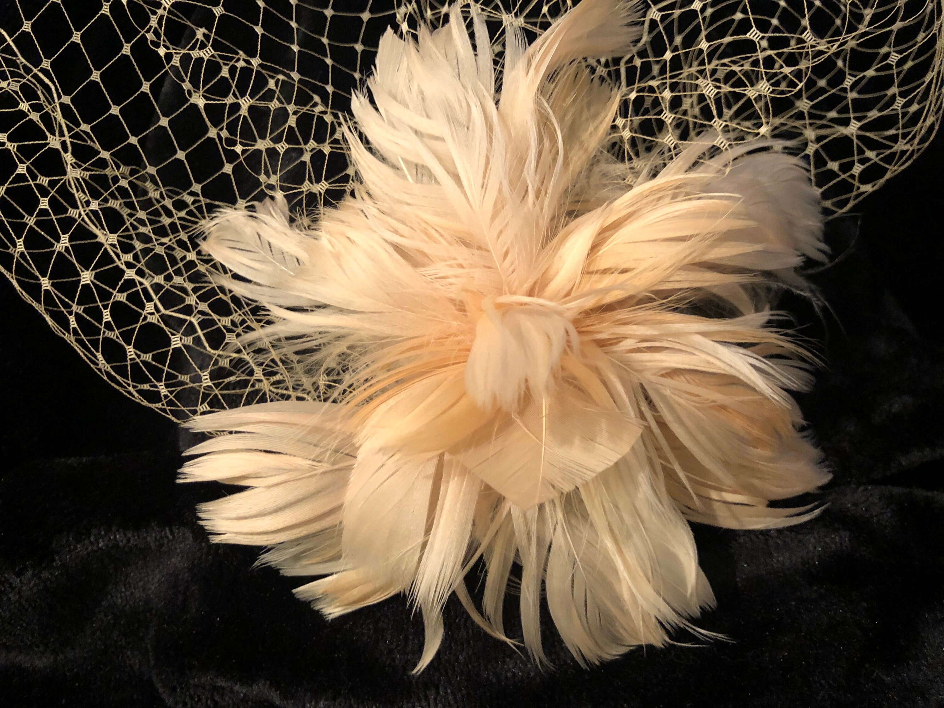 Bridal Wedding Fascinator Feather Hair Clip Ostrich birdcage | Etsy