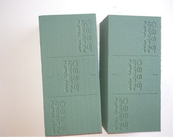 Oasis Floral Foam Bricks, live flower Arranging Supplies (2-Pack)