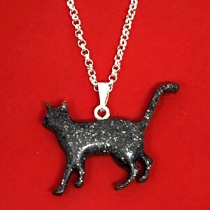 Collier De Resine De Chat Dormeau Dormeaux Coquille Etsy Canada
