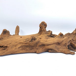 Large Antique Natural Driftwood Wooden Display or Decor Piece Taxidermy Jewelry