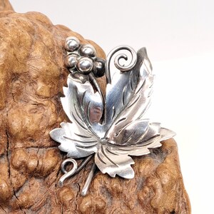 Taxco Grape - Etsy display picture 2