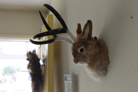 Brown JACKALOPE Head Mount Rabbit Realistic Animal Figurine Cabin Decoration