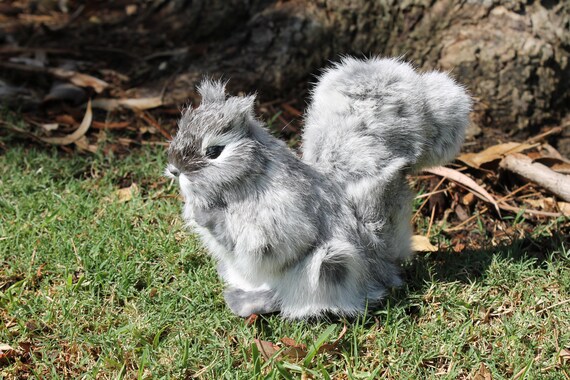 realistic stuffed squirrel